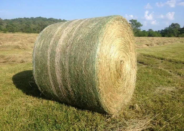 捆网网 ：农业包裹干草的未来